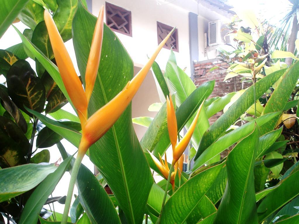 Margo Utomo Hill View Resort Banyuwangi (East Java) Exterior foto